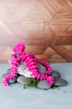 Articulated Jellyfish Dragon