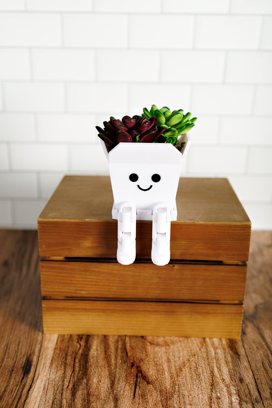 Takeout Box Planter Pot (3 Sizes)